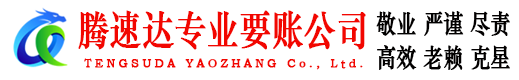 龙文腾速达收账公司